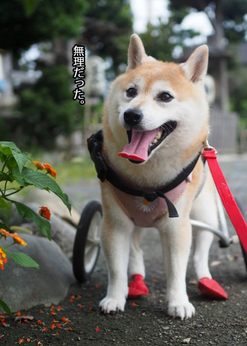 11日ブログ３