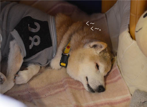 23日ブログ2.jpg