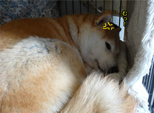 26日ブログ5.jpg