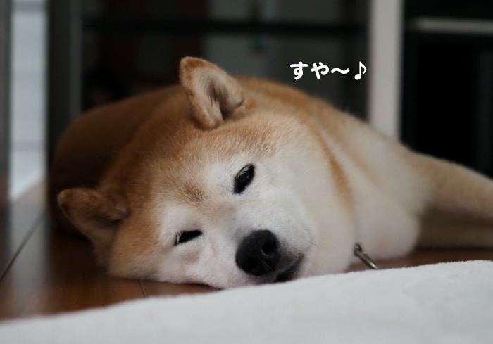26日午前ブログ５