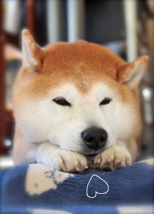 18日夜ブログ１