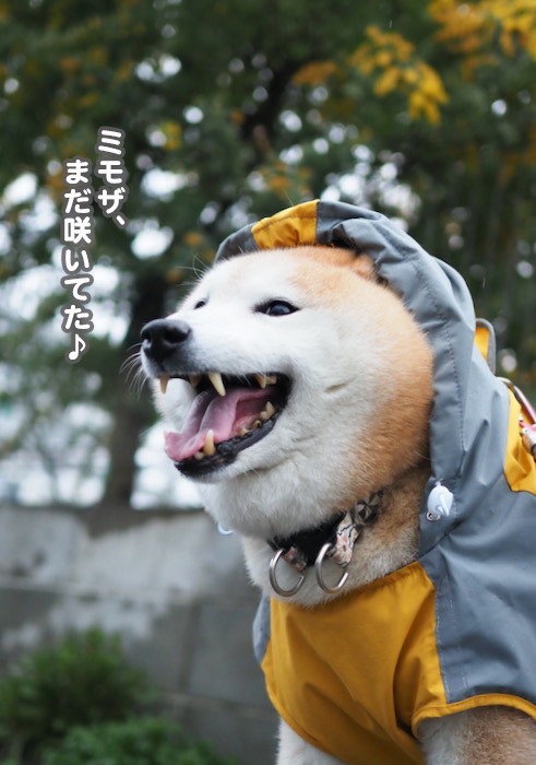 24日夕ブログ４