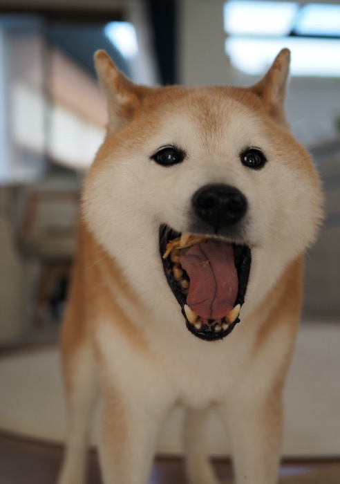 9日ブログ４