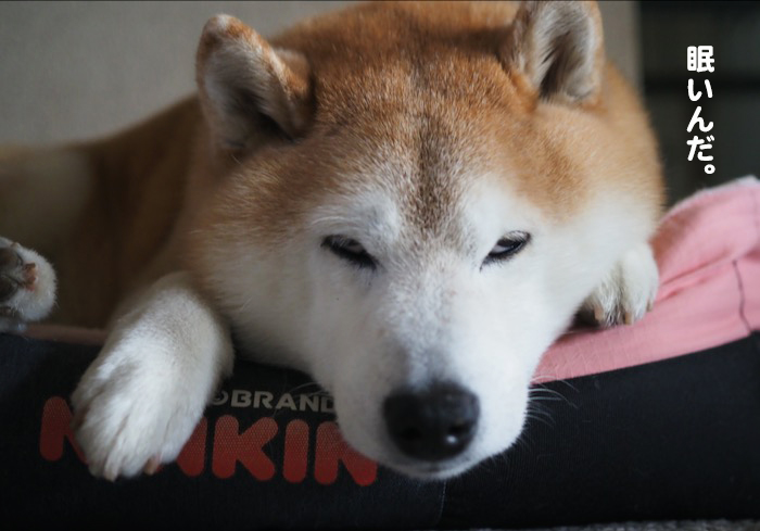 21日夕ブログ５