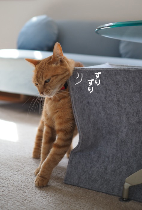 28日夕ブログ７