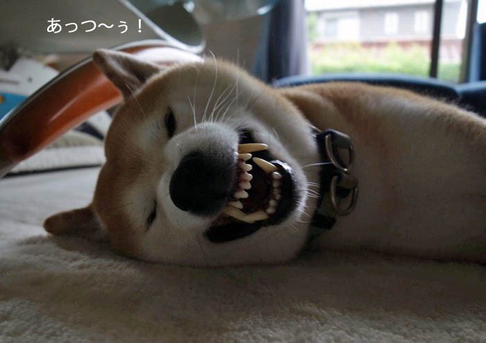 21日ブログ３