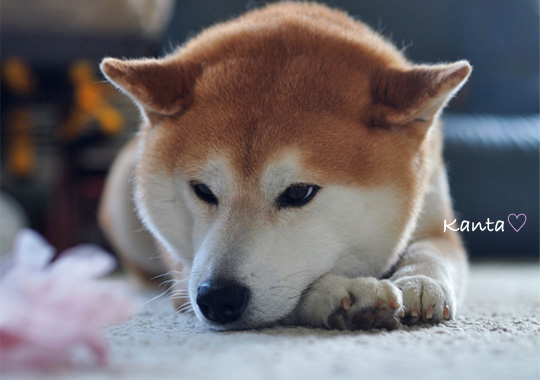 23日ブログ7.jpg
