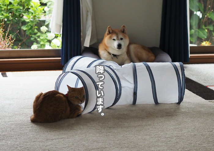 31日ブログ３