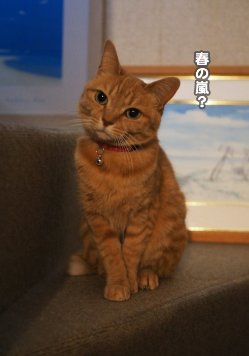 8日ブログ４