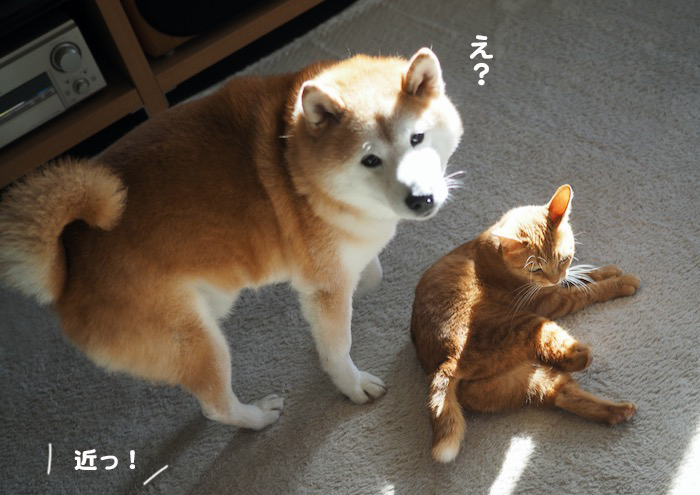 29日ブログ２