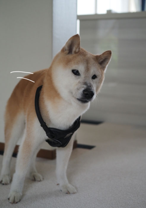 12日ブログ２