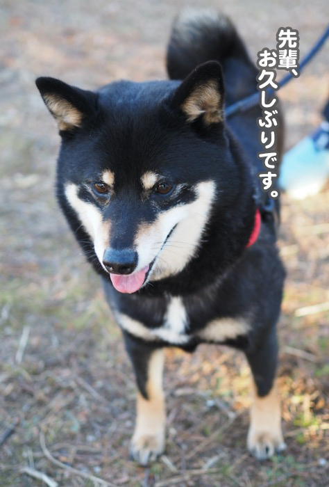 23日夕ブログ２