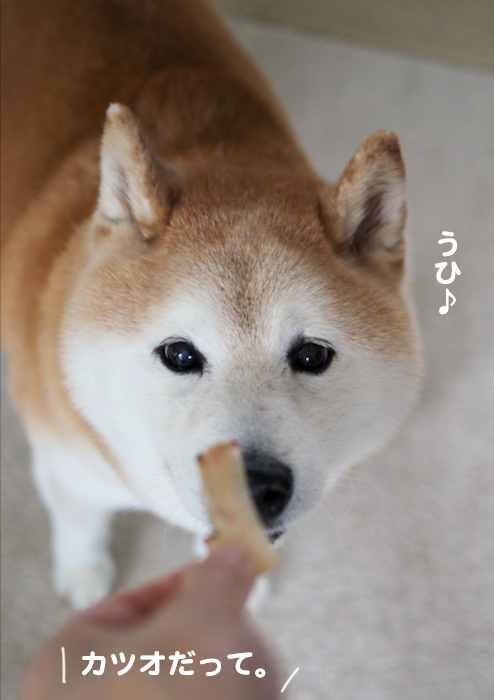 8日夕ブログ８