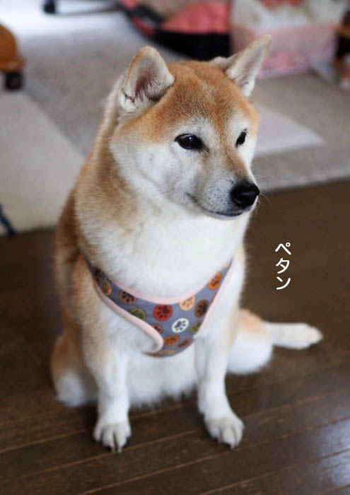 4日夜ブログ４