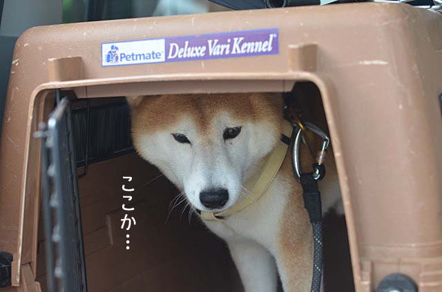 24日ブログ6