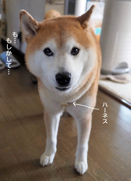 13日ブログ４