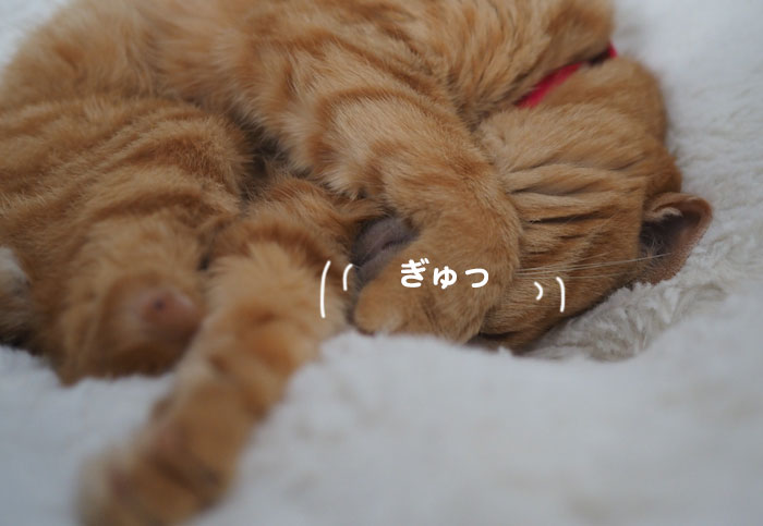 6日夕ブログ3
