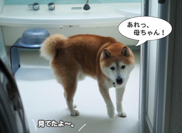 9日夕ブログ７