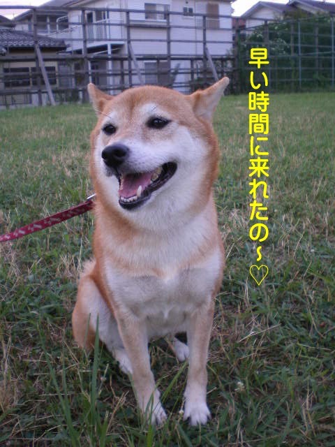 29日ブログ７