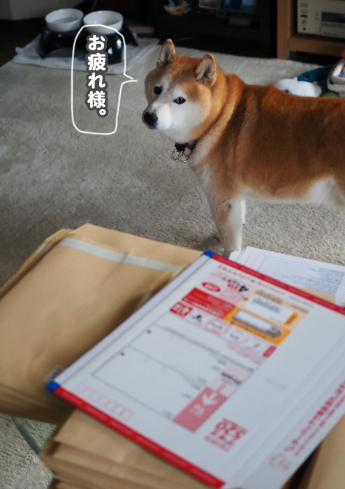 7日ブログ２