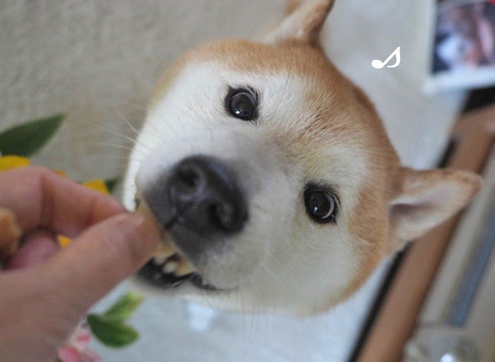 6日ブログ4