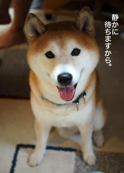 17日夜ブログ７