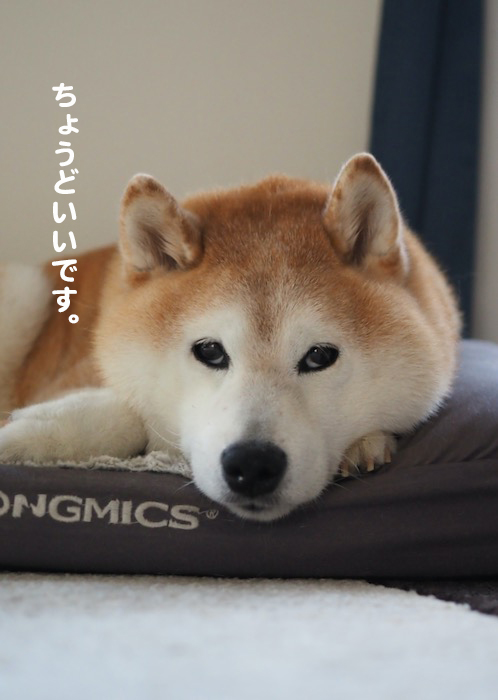 29日夕ブログ２