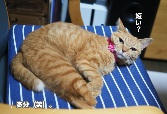 11日夜ブログ６