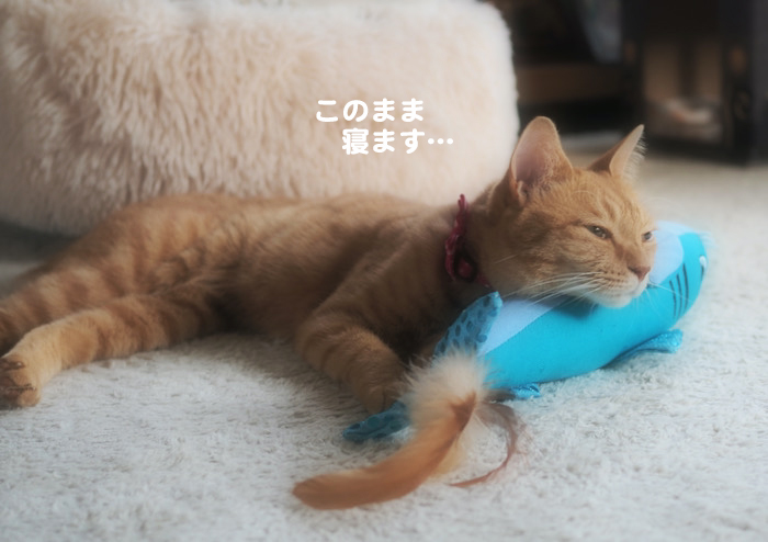 15日夜ブログ８