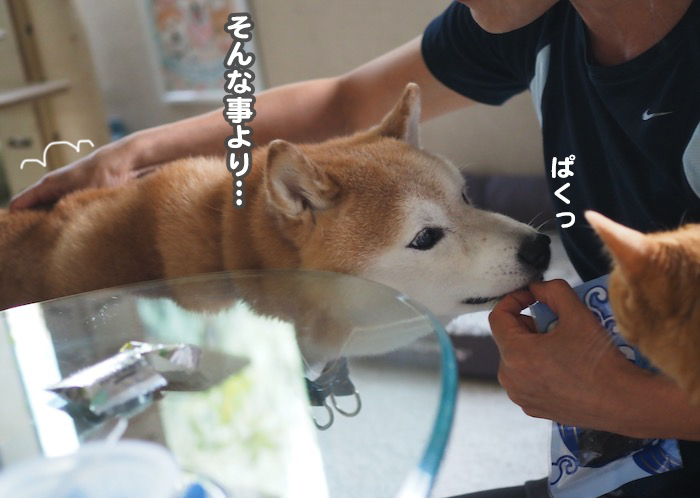 18日夕ブログ13