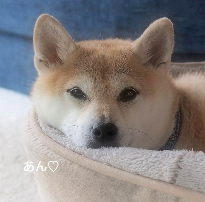 24日ブログ9