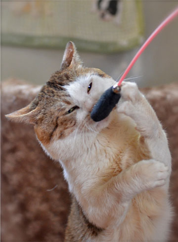 18日ブログ6.jpg