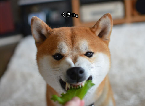 26日ブログ7.jpg
