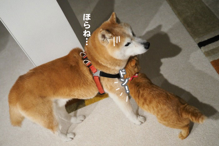17日ブログ３