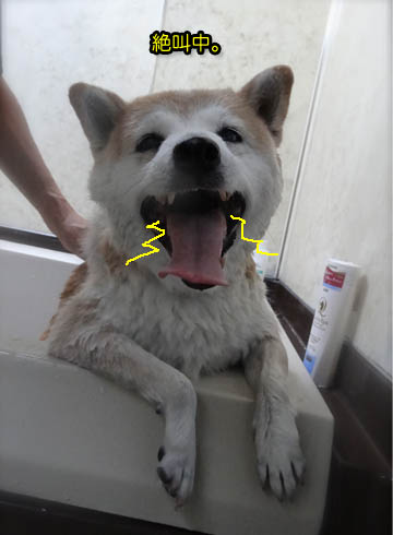 28日ブログ2.jpg