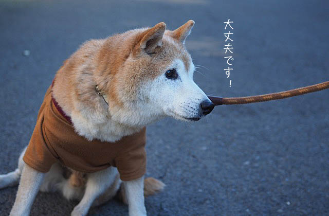 3日ブログ4