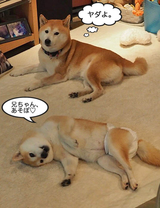 3日午後ブログ６