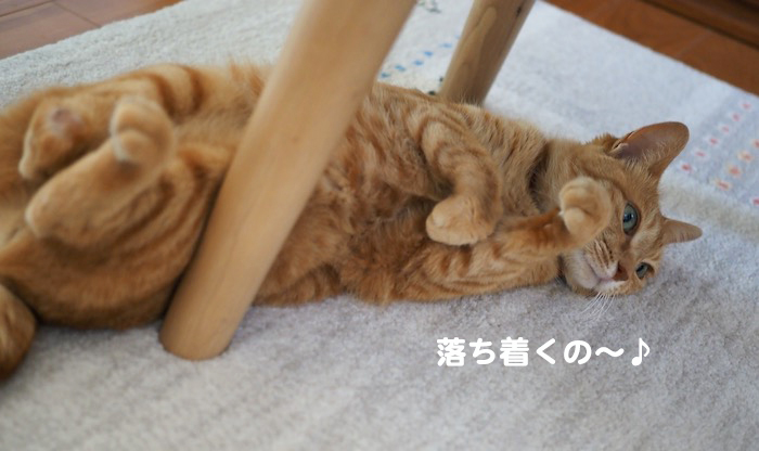 29日夕ブログ６