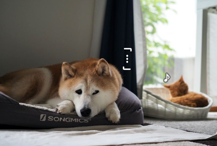 26日午前ブログ２