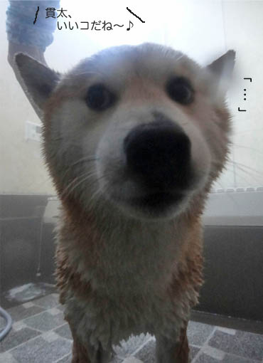 11日ブログ5.jpg