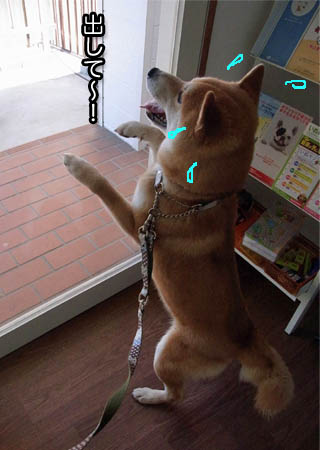 16日ブログ４.jpg