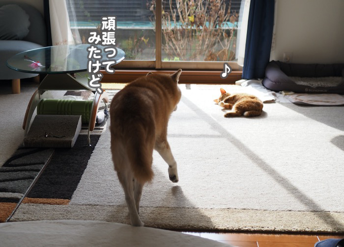 10日夕ブログ５