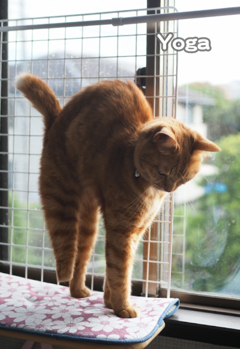 10日夕ブログ３