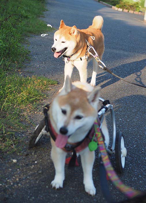 1日夜ブログ３