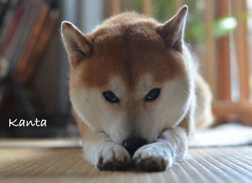 30日ブログ17.jpg