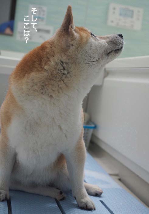 2日ブログ４