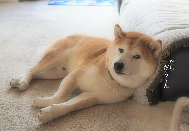 7日ブログ6