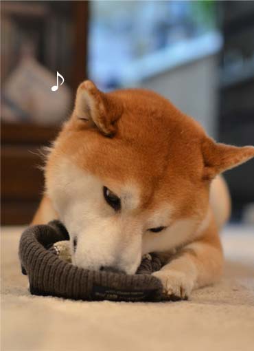 28日ブログ7.jpg