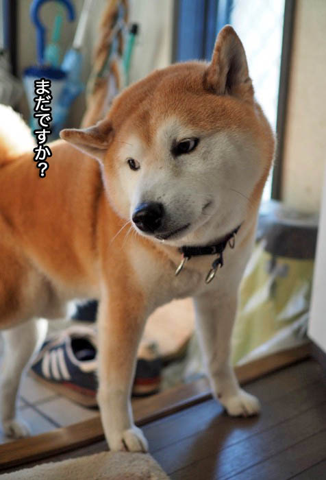 22日夜ブログ7