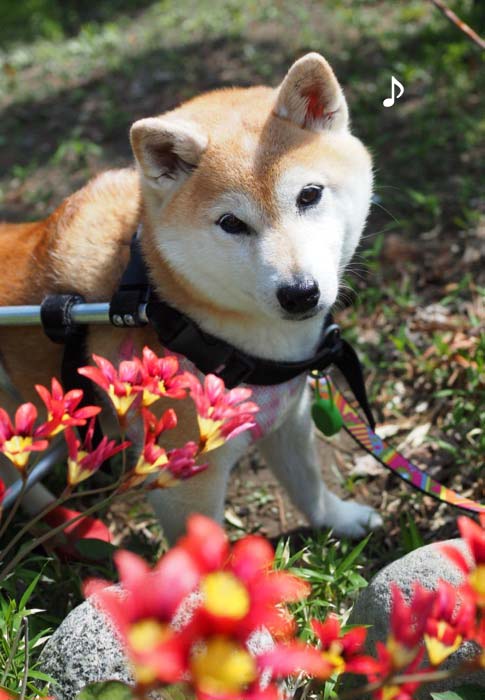 22日ブログ２